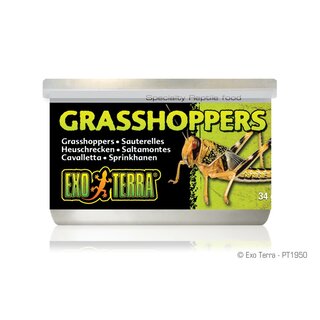Exo Terra Grasshoppers, Heuschrecken, 34g