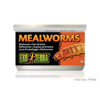 Exo Terra Mealworms, Mehlwrmer, 34g