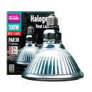 Arcadia Halogen Heat Lamp E27 100W (PAR38)