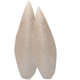 Hobby Sepia Bone (ca. 20-25cm) 2 Stck