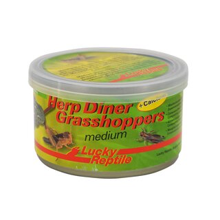 Lucky Reptile Herp Diner, Grasshoppers mittel 35g
