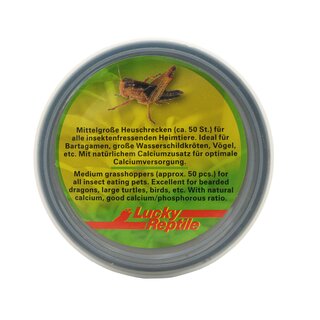 Lucky Reptile Herp Diner, Grasshoppers mittel 35g