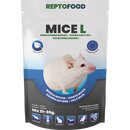 REPTO Food Muse L 21-30g, 10 Stck