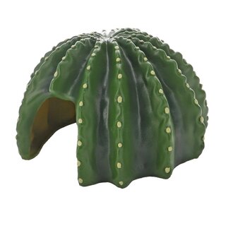 Hobby Cactus Home 4 (23x22x13,8cm)
