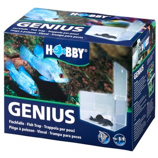 Hobby Genius, Fischfalle (21x13x15cm)